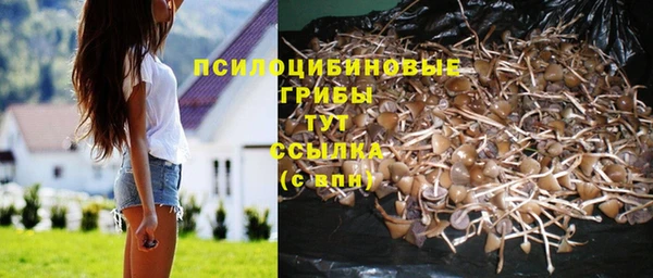 стаф Кулебаки