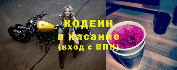 стаф Кулебаки