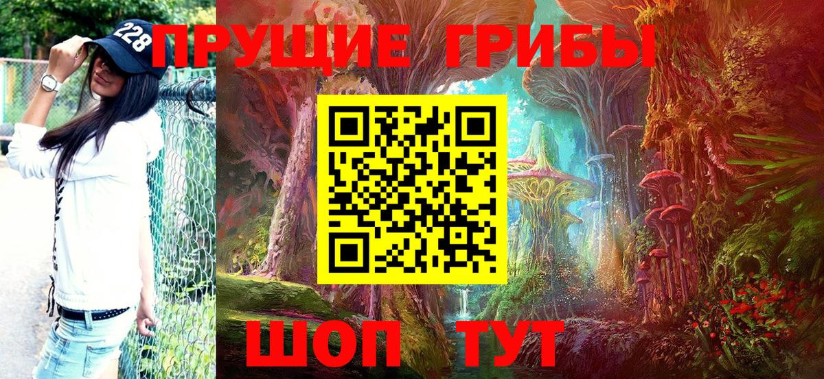 хочу   Псилоцибиновые грибы Cubensis  Вход с VPN  Оренбург 
